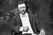 Theodore Roosevelt While President Might Best Be Described As 