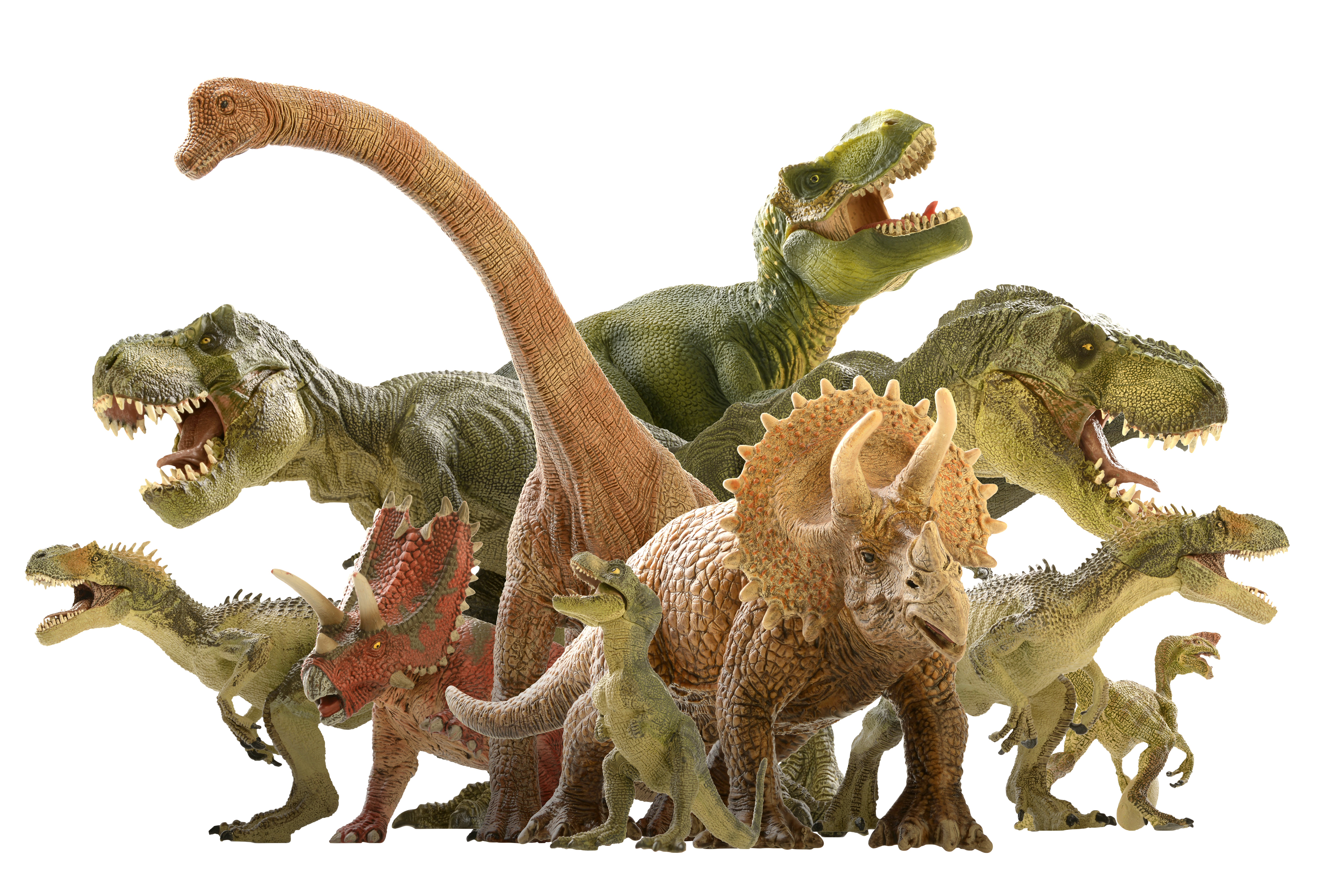 TIME for Kids | Meet the Dinos