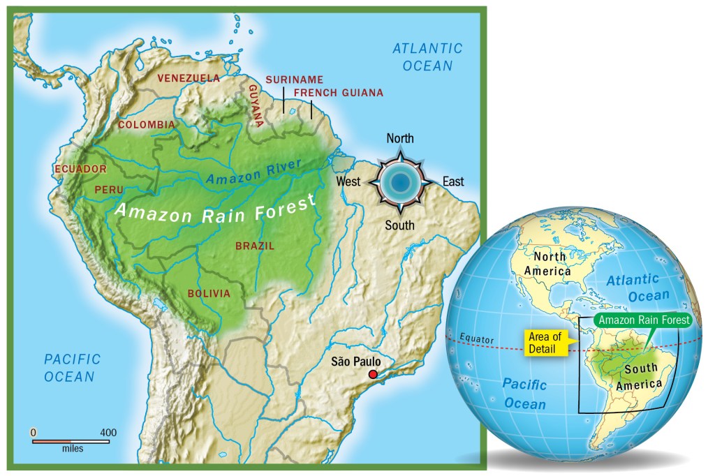 amazon rainforest physical map