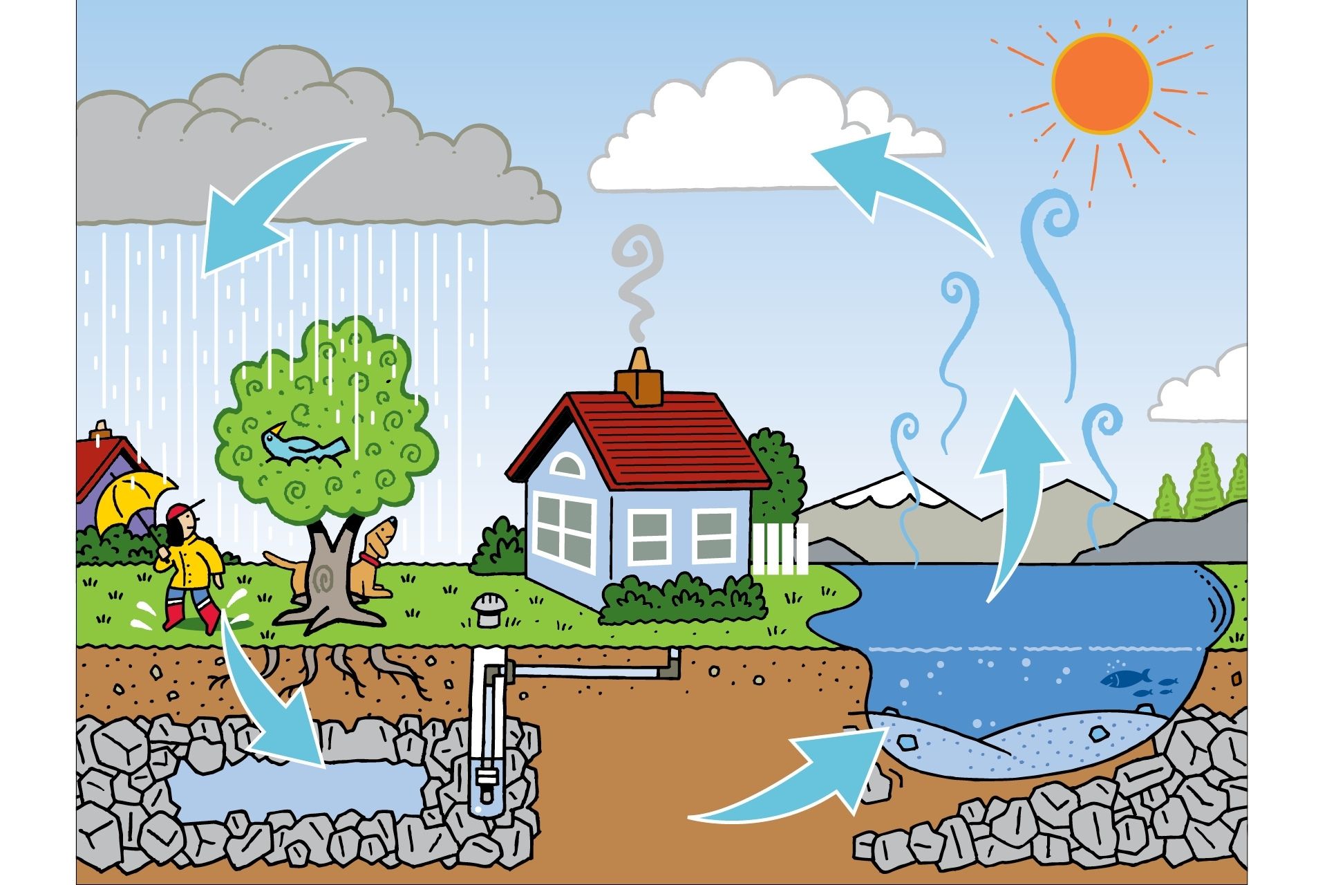 The Water Cycle / Vector schematic representation of the water cycle in  nature. Illustration of diagram water cycle. Cycle water in nature  environment. Stock Vector | Adobe Stock
