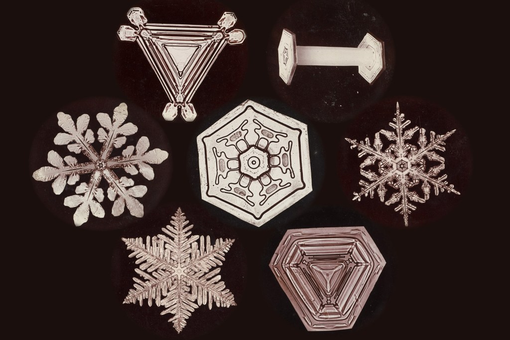 The science of snowflakes and their astonishing magnificence